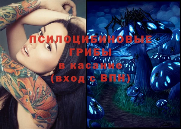 дурь Балахна